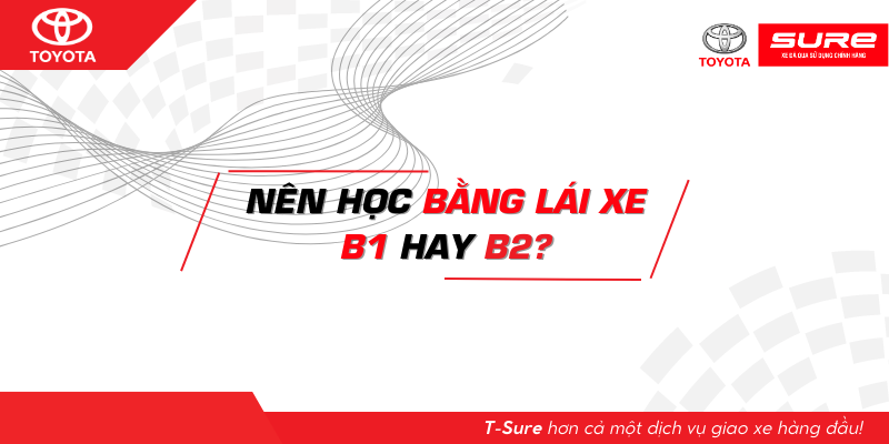 Nên học bằng lái xe B1 hay B2?